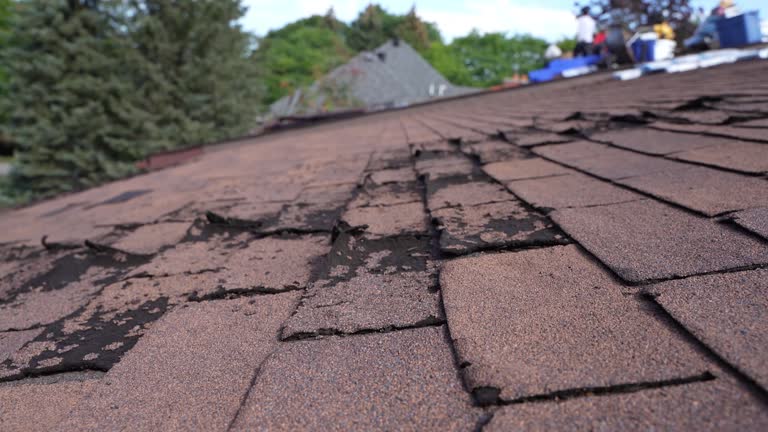 Professional Roofing Services in Hebron, PA